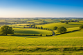 Somerset sunny field view